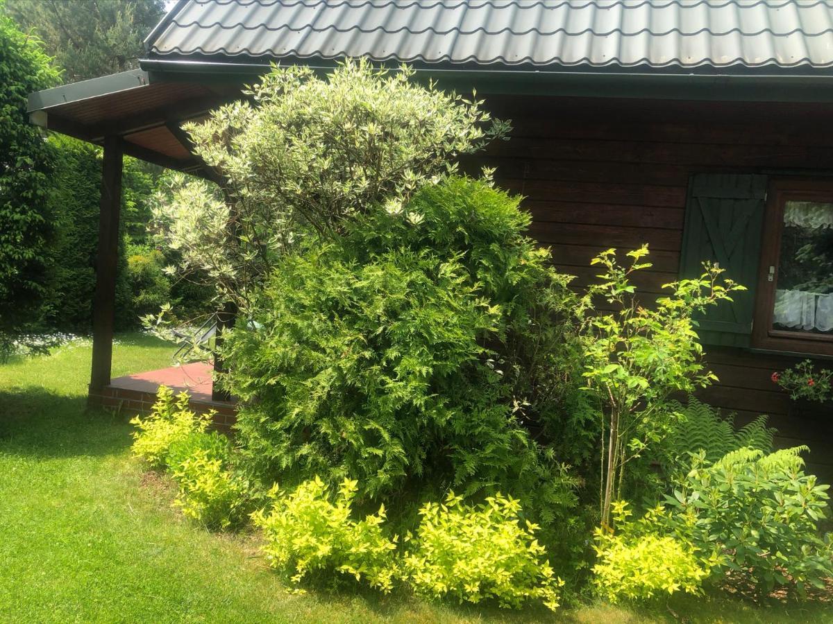 Dom Z Bali Villa Bajkowy Dom Dzwierzuty Exterior foto